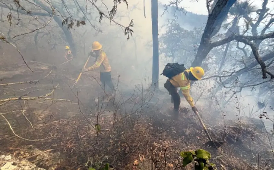 incendios-oaxaca