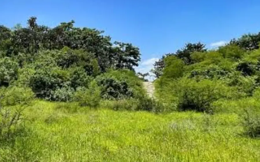 llanito1
