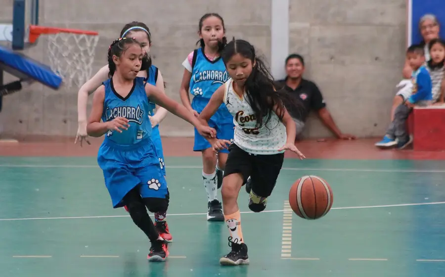 minibasket1