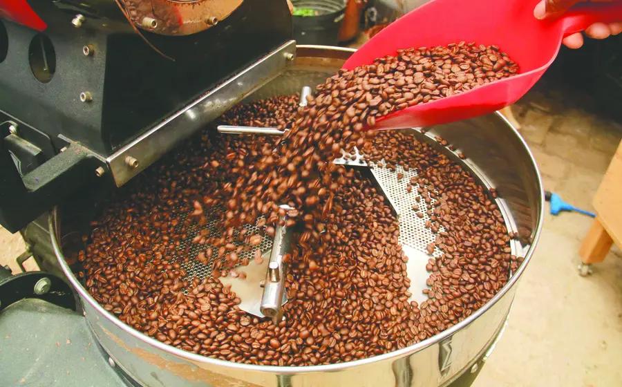 oaxaca-líder-café-especialidad-1.jpg 