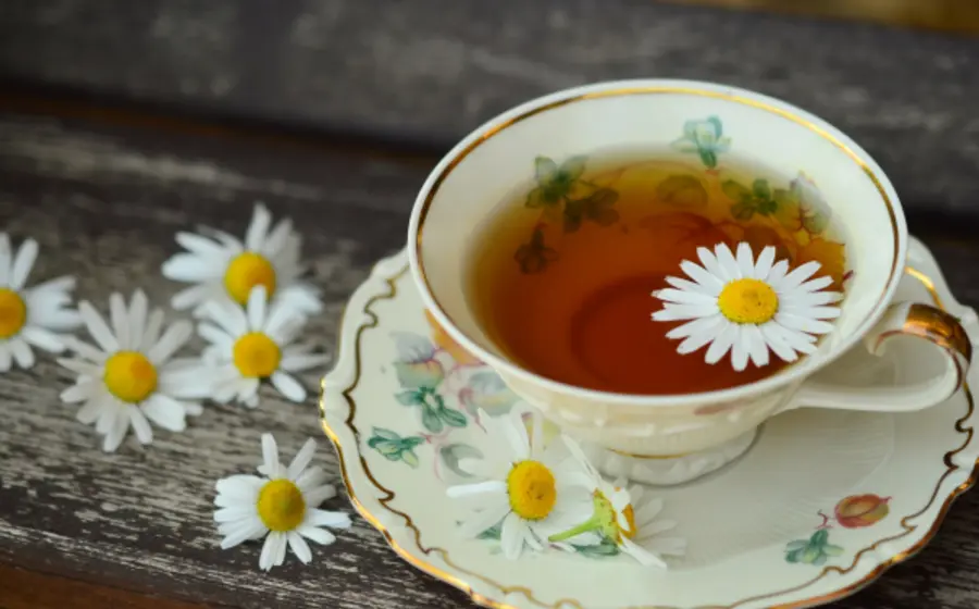 té_día_internacional 