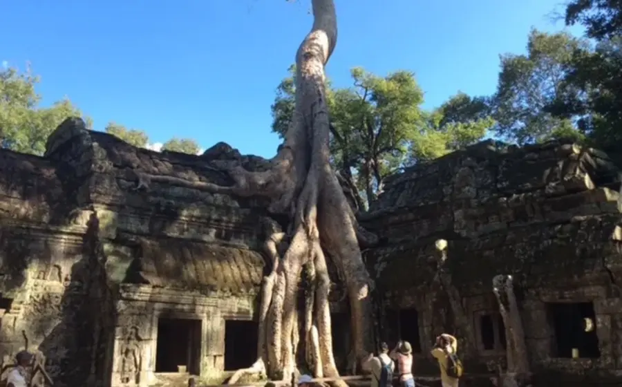 Una fotografía de los imponentes y antiguos templos de Camboya, que muestra la detallada arquitectura de piedra en medio de un paisaje selvático.