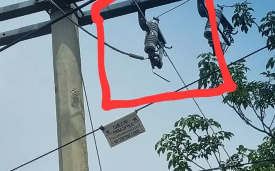Una ardilla sobre el tendido eléctrico haciendo contacto con los cables, lo que daña las cuchillas de los transformadores y provoca fallas.