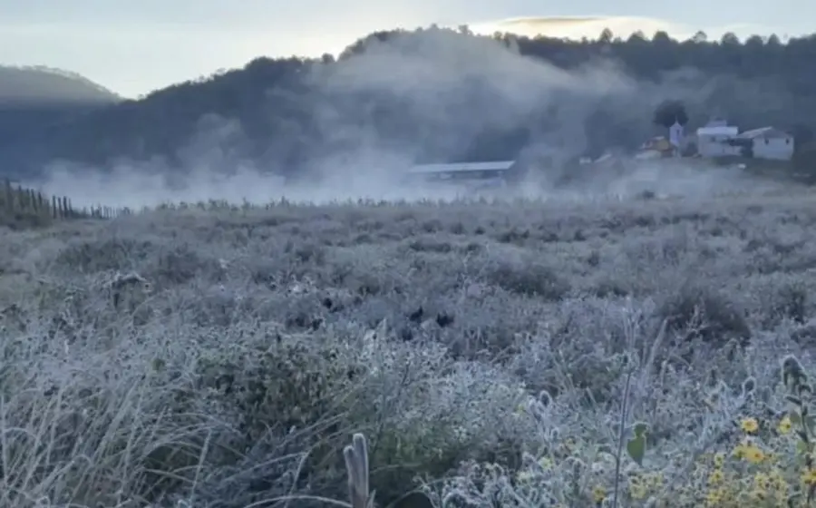 Paisaje de la zona norte de Oaxaca con neblina y bajas temperaturas debido a la llegada de una masa de aire frío de origen ártico.