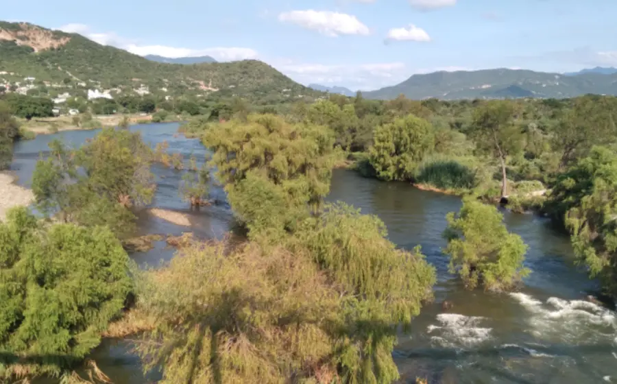 Área verde en Tehuantepec muestra el avance de la deforestación debido a asentamientos humanos y tiraderos clandestinos que deterioran el ambiente.