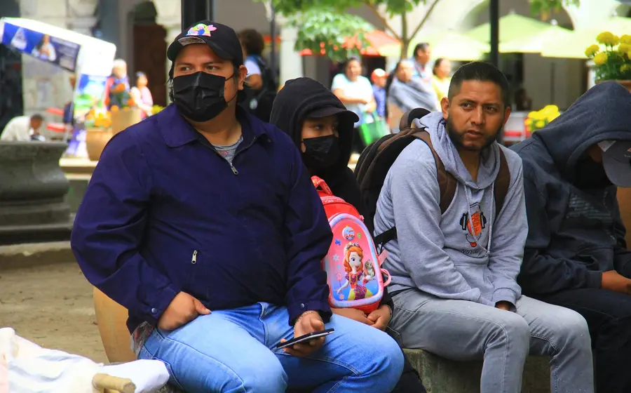 Un árbol caído bloquea una vialidad en Oaxaca, mostrando los efectos y daños causados por los fuertes vientos del Frente Frío 13.