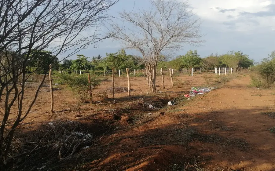 Fuertes vientos del frente frío número 16 azotan la región del Istmo, lo que incrementa el riesgo de incendios en la zona.