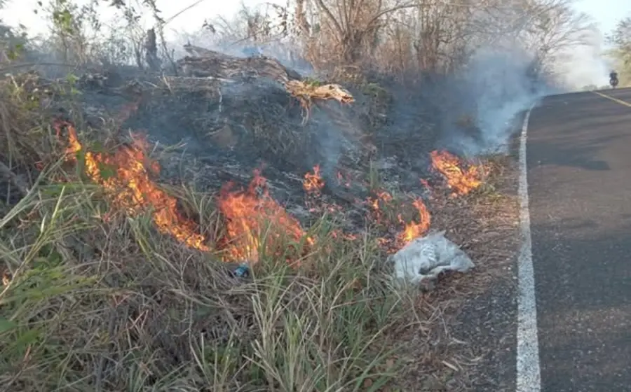 Un incendio forestal en El Espinal, Oaxaca, provocado por una quema de basura que se salió completamente de control, afectando la zona.