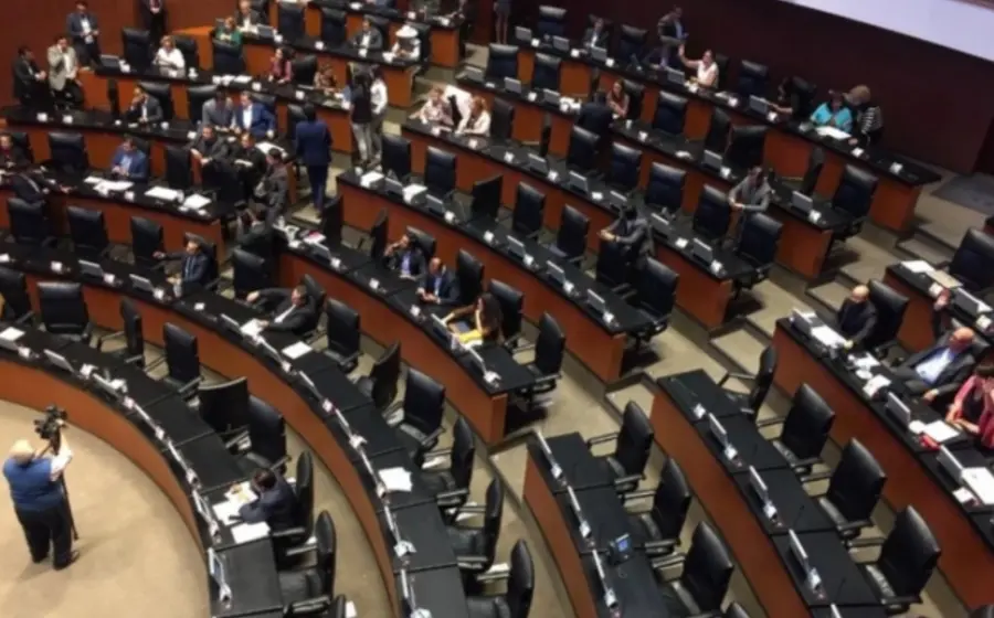 Senadores afines a la 4T reafirman su respaldo a la Presidenta de México, destacando que la protesta pacífica es un derecho.