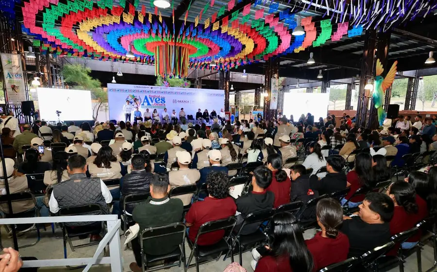 Una colorida ave endémica de Oaxaca posada en una rama, representando la rica biodiversidad celebrada en el tercer Festival de las Aves.