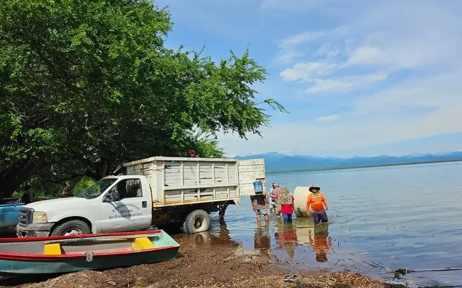 El hecho contribuye al desarrollo económico y alimentario de Jalapa.