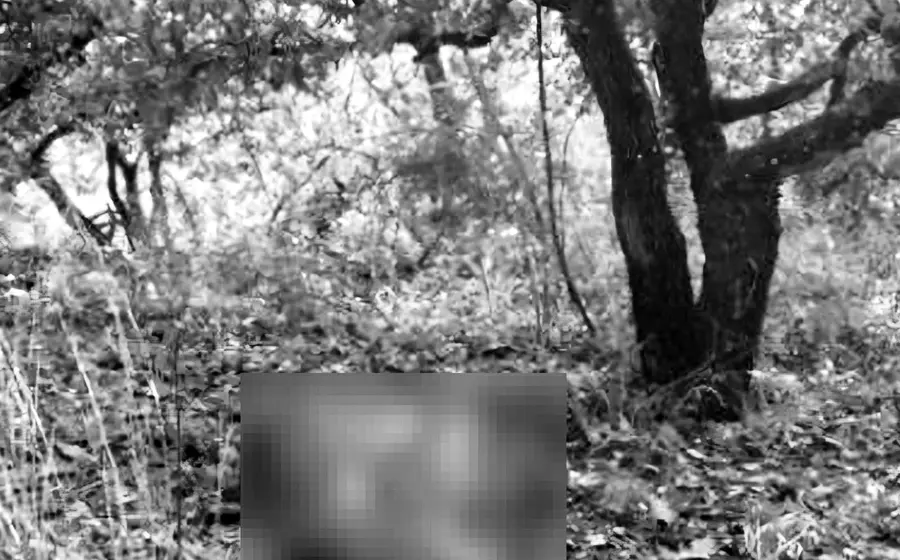 La víctima fue localizada sin vida a un costado de la Carretera Federal 190. Foto: Cortesía