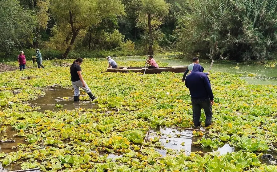 Las acciones en la presa se hacen de manera conjunta entre el gobierno local y gobierno federal.