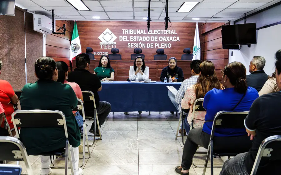 El TEEO declaró fundados los agravios en ambas demarcaciones. Foto: TEEO