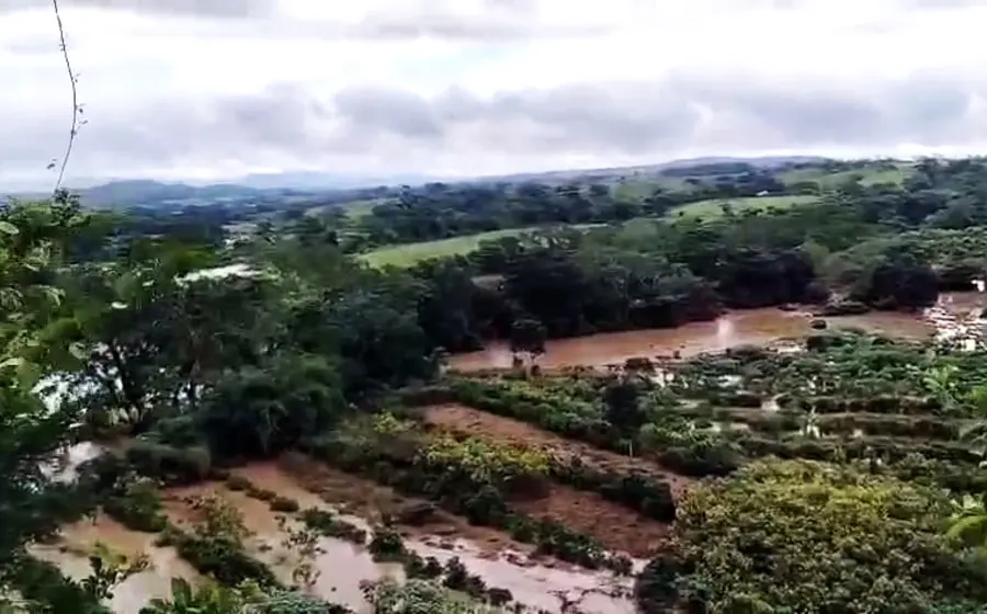 Todos los cultivos sembrados en la zona fueron arrasados.