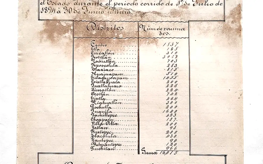 Documento histórico que muestra un informe sobre las personas vacunadas contra la viruela en el año 1895, como parte de las medidas sanitarias.