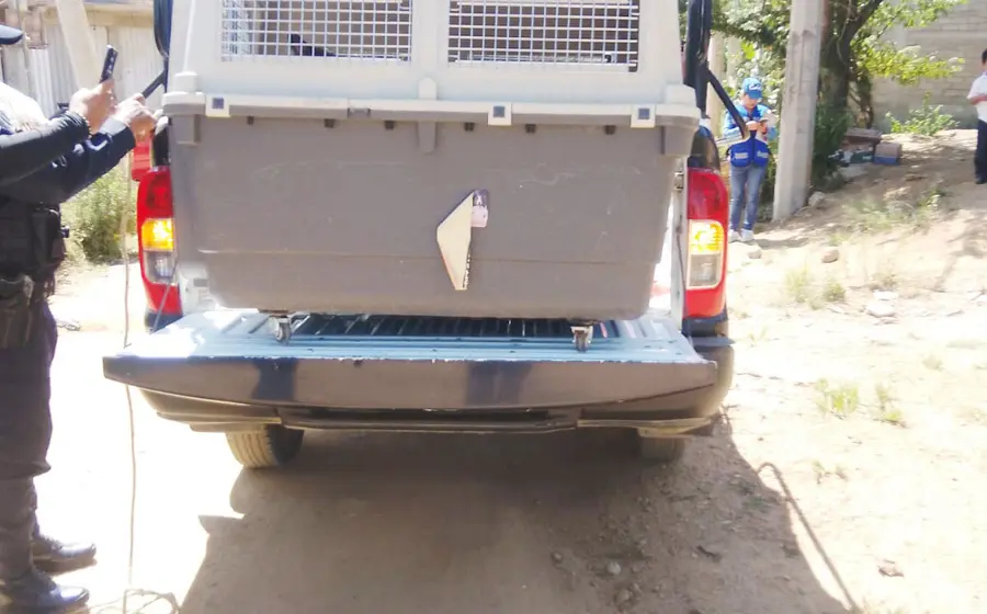 La perrita llamada Naila es sostenida por un rescatista momentos después de ser puesta a salvo de una situación de peligro.