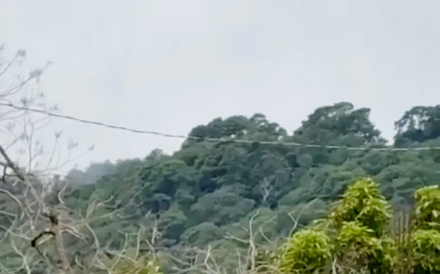El ataque armado fue difundido a través de un video.