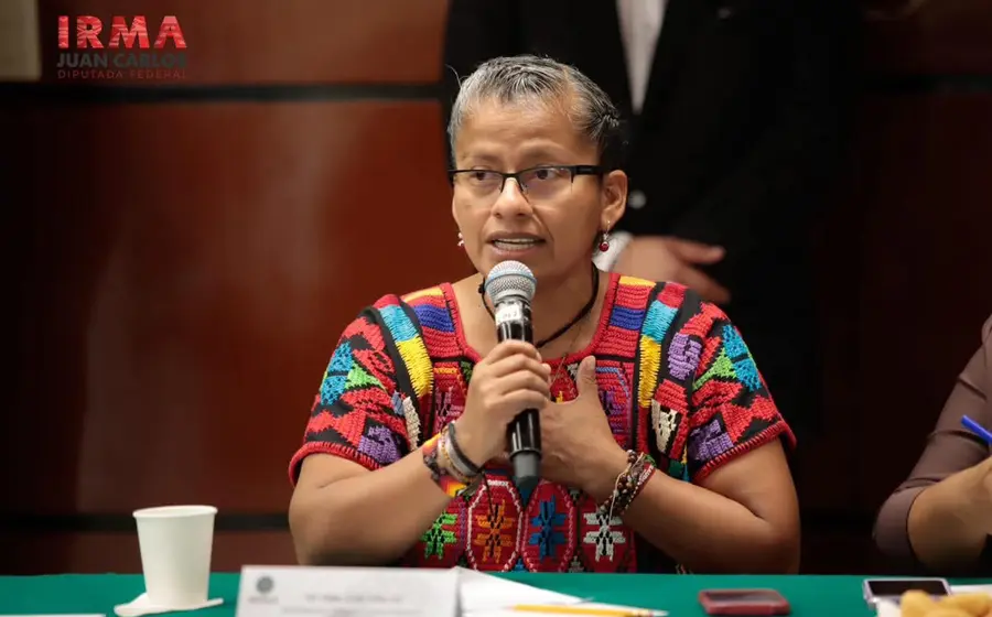 La diputada Irma Juan Carlos destacó que la reforma responde a la Estrategia Nacional de Seguridad Pública.