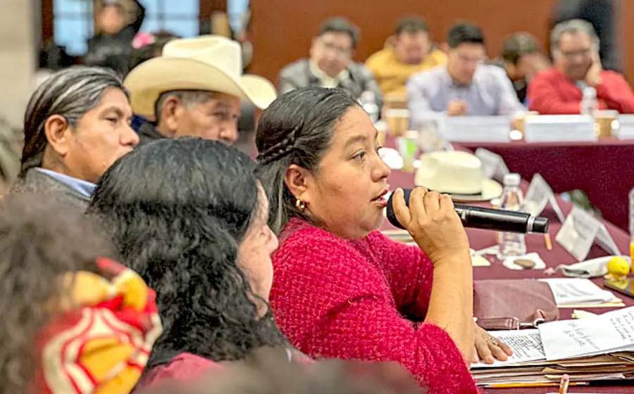 Catalina Ramírez cuenta con amplia trayectoria en la defensa de los derechos humanos de los pueblos indígenas.