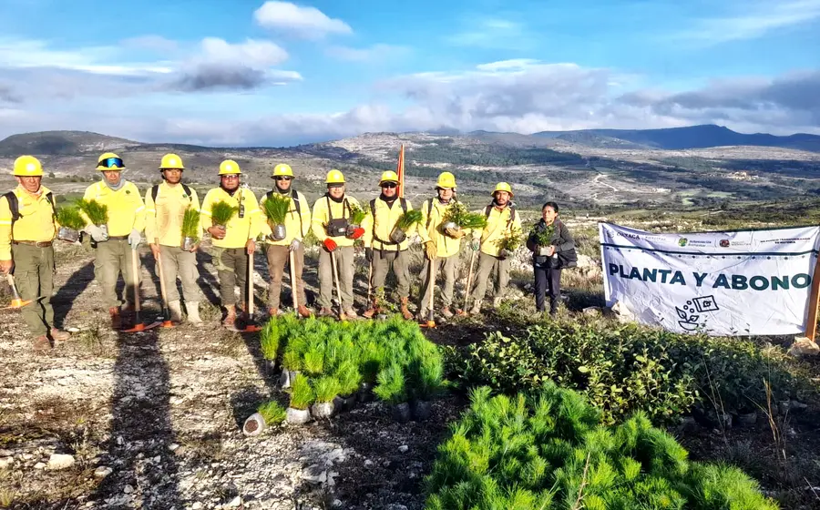 La Chocholteca es la única zona que ha trabajado la reforestación desde hace 30 años.