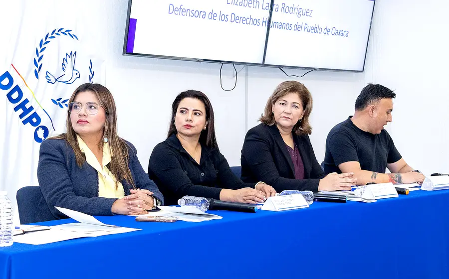 Los lineamientos atienden a los criterios de legalidad, necesidad, proporcionalidad y rendición de cuentas.
