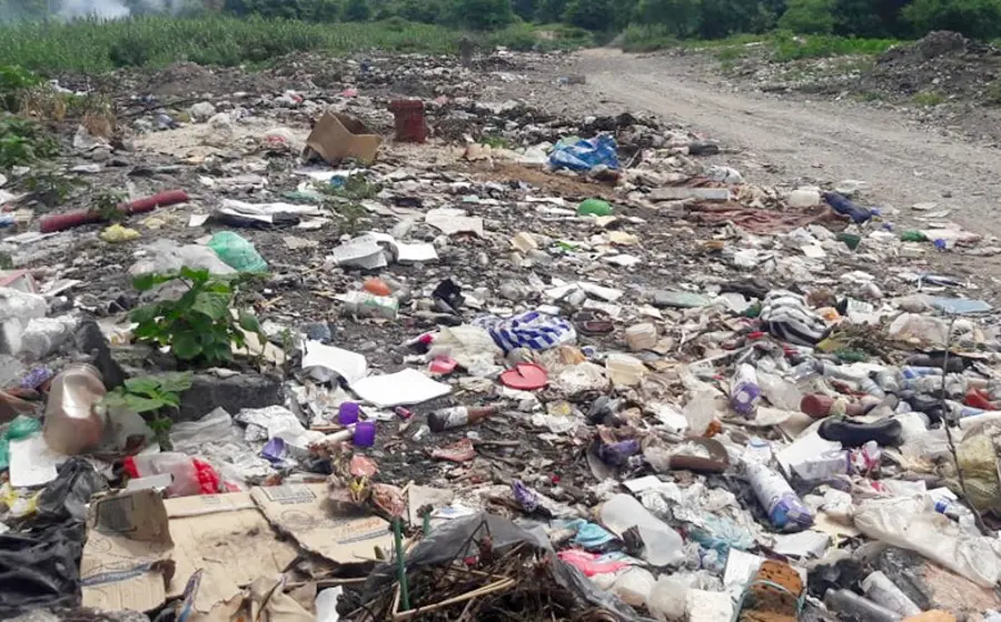 Los desechos dañan la flora y fauna de los ríos.