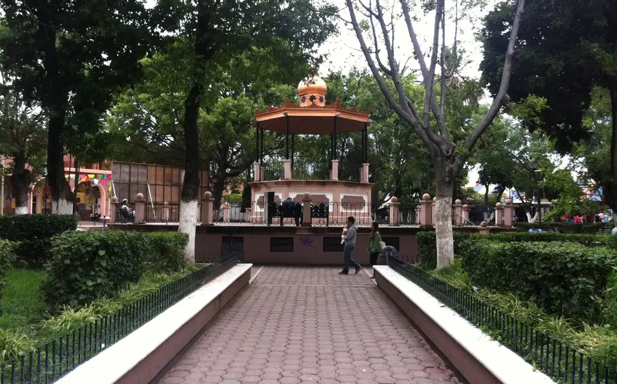 arboles_cuidados