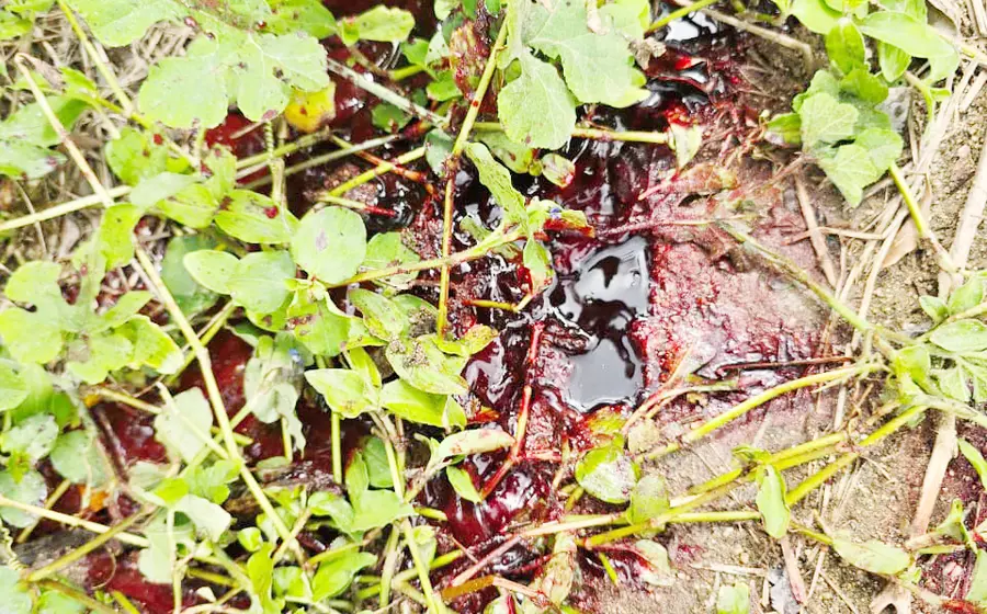 Juan Rivas, hermano de la ex edil de Santiago Jamiltepec, fue asesinado a balazos.