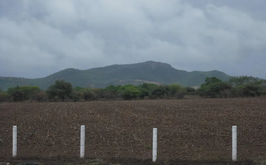 Los trabajadores rurales denuncian abandono institucional del campo.