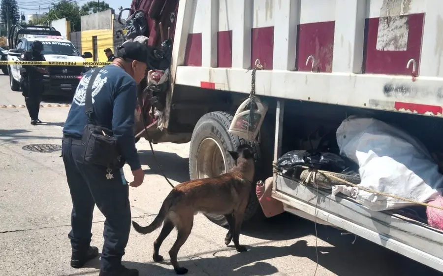 Binomios K-9 detectan explosivo dentro de camión recolector en Oaxaca.
