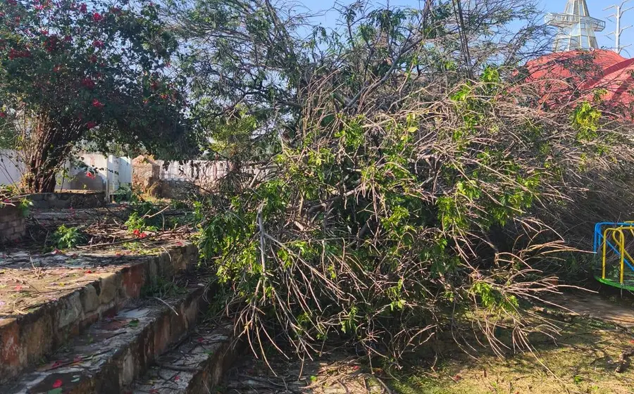 Un árbol cayó sobre el área de juegos.