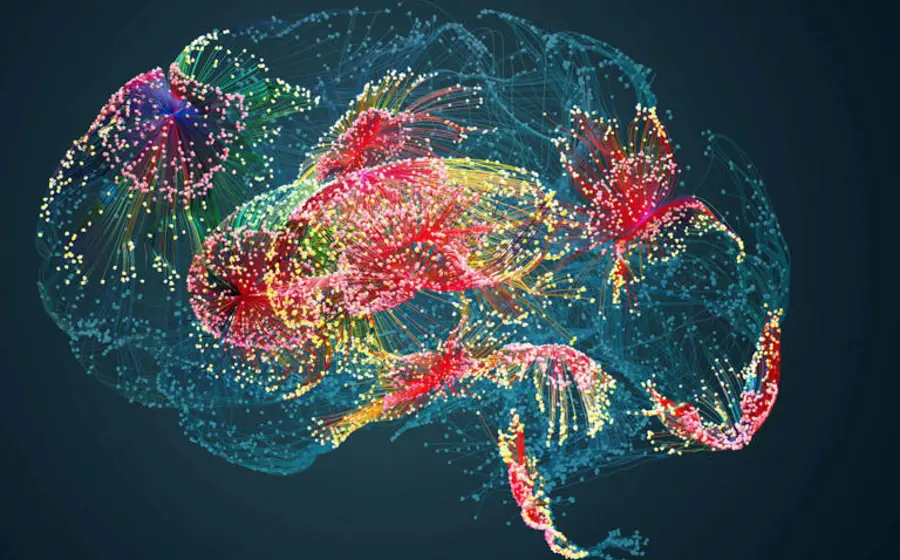 Hasta 80% de las neuronas visuales codifican objetos con un mismo patrón.