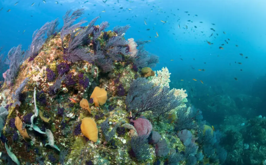 Una vista panorámica del mar, simbolizando el nuevo acuerdo clave que refuerza el compromiso del país con la protección de los océanos.