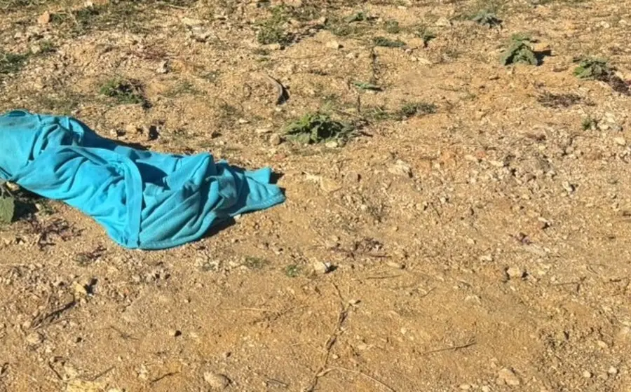 Fotografía que muestra a la víctima, un niño de 10 años de edad, quien fue asesinado según los reportes de la noticia.