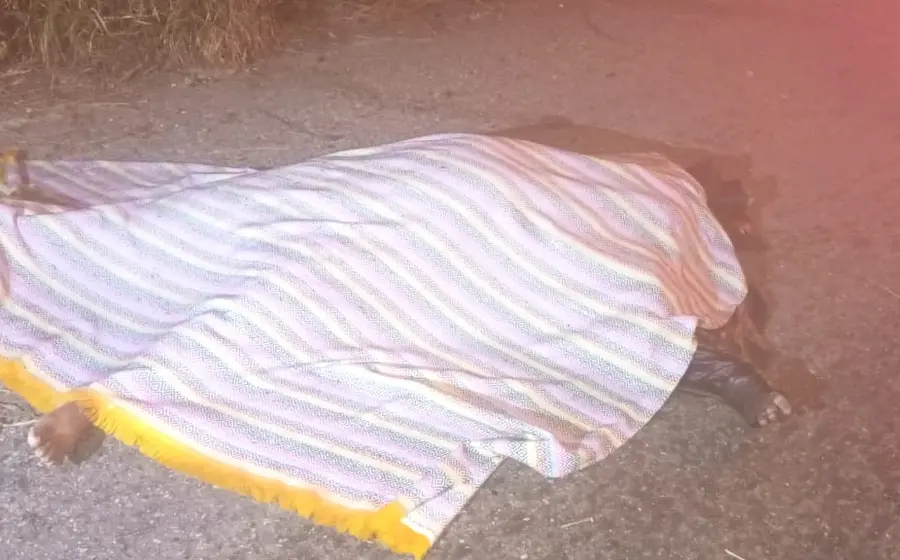Un automóvil volcado a un costado de la carretera federal 200 en San Miguel del Puerto Pochutla, tras un percance vehicular.