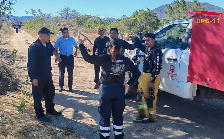 Elementos de la Semar y cuerpos de emergencia trabajan en conjunto para sofocar una conflagración que provocó una intensa movilización.