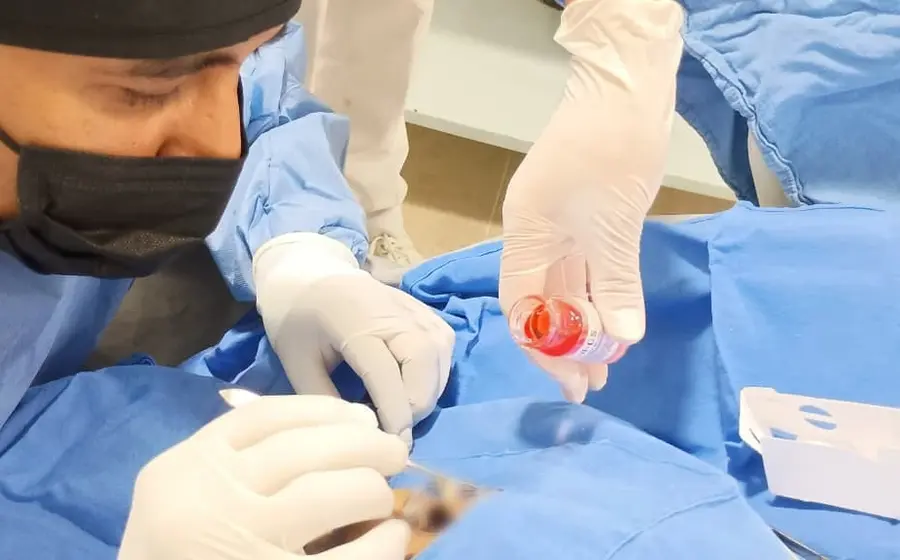 Equipo médico del IMSS realizando la exitosa primera cirugía de procuración de órganos y tejidos del año 2026 dentro de un quirófano.