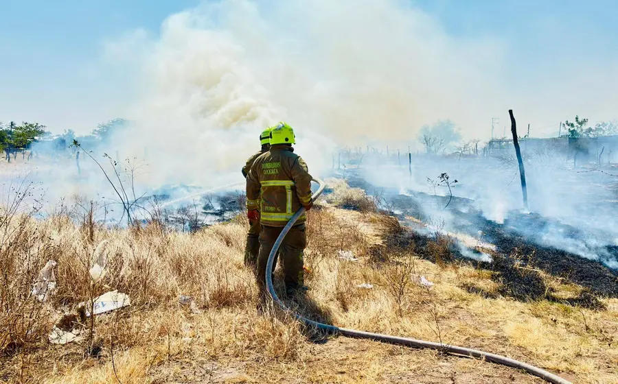El fuego consume la vegetación seca durante uno de los incendios de pastizales que persisten en Juchitán, siniestro que no reportó lesionados.