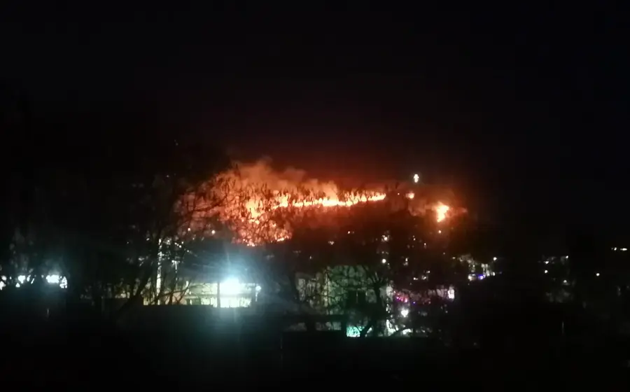 Un incendio forestal activo en el Cerro del Crestón, generando una columna de humo visible que alerta sobre los graves riesgos ambientales.