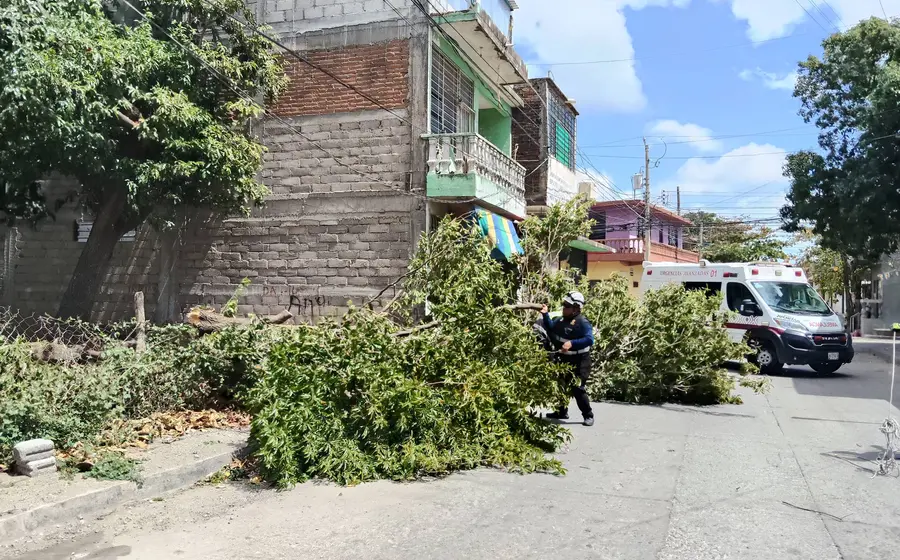 Caos por el viento: tractocamiones varados y sin energía eléctrica.