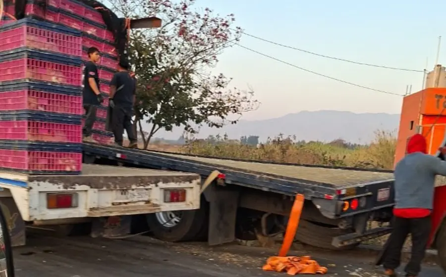 Transportaba pollos.