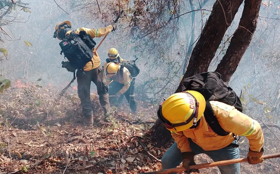 Emergencia ambiental: incendios activos en Chimalapa y Sola de Vega.