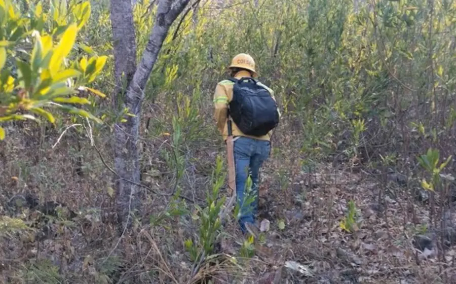 Brigadistas combaten activamente las llamas de un nuevo incendio forestal que consume la vegetación en la región de Los Chimalapas.