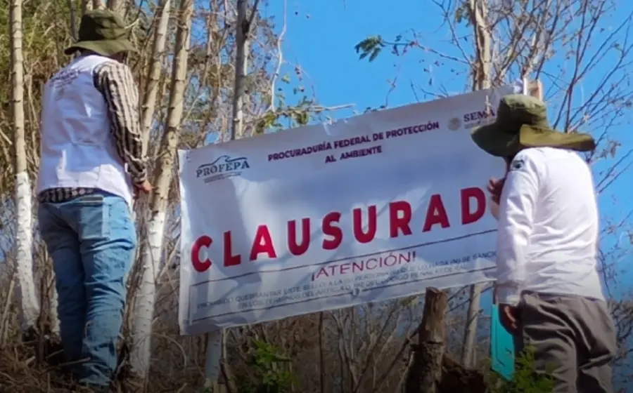 Sellos de clausura de la Profepa colocados en una obra de construcción en Oaxaca, la cual carece de la autorización ambiental de Semarnat.