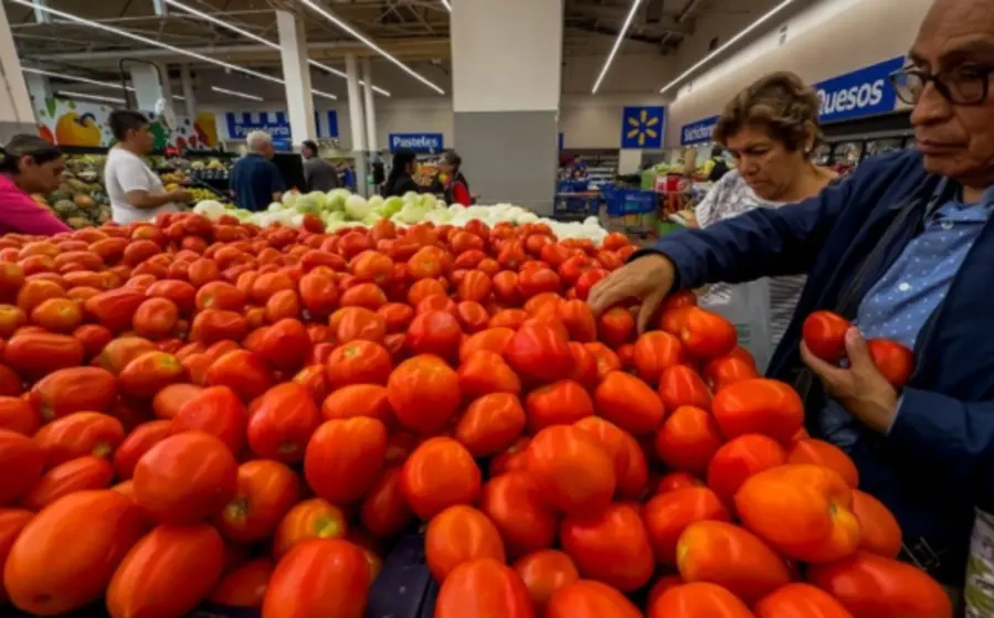 Una selección de frutas y verduras frescas en un mercado, representando la baja de precios en la canasta básica que beneficia a las familias.