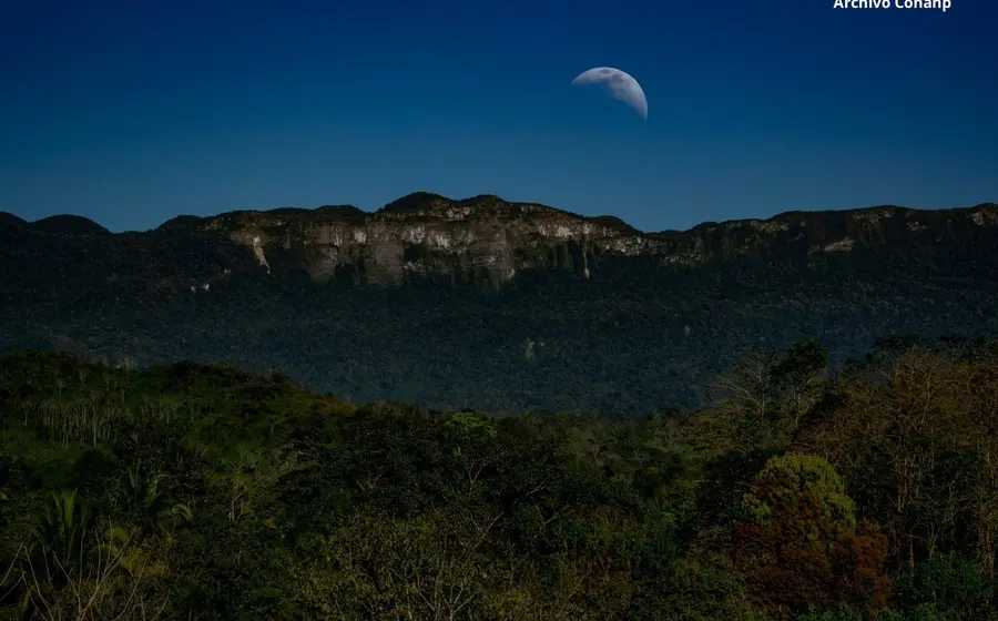Paisaje de la selva de los Chimalapas, cuyo futuro como área de conservación está en manos de sus comunidades con el respaldo de la Conanp.