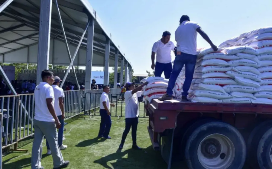 Entrega de toneladas de insumos del programa Fertilizantes para el Bienestar en el campo, que ya alcanzó el 89% de su meta nacional.