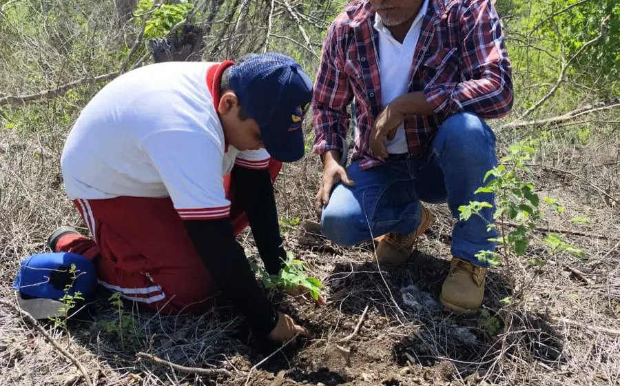 Ciudadanos y autoridades de Mixtequilla participan en la siembra de árboles durante la jornada ambiental denominada 'Yo Siembro Mi Futuro'.