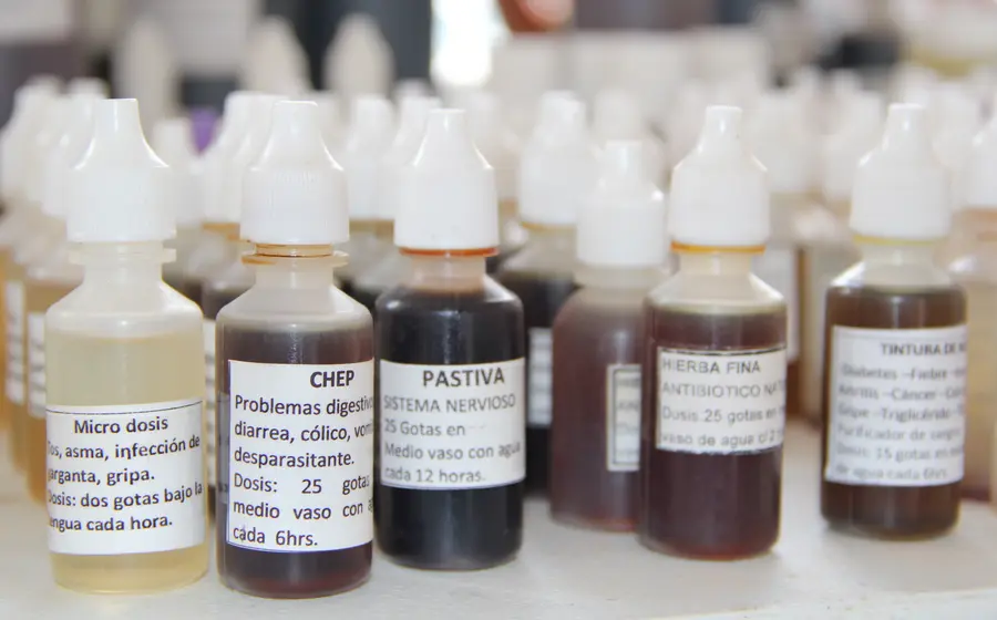 Mujeres indígenas de Oaxaca trabajan con plantas curativas para preservar y mantener viva la tradición de la medicina ancestral en sus comunidades.